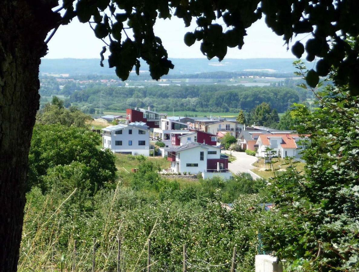 Haus Bodenseeblick Bodman-Ludwigshafen Bagian luar foto