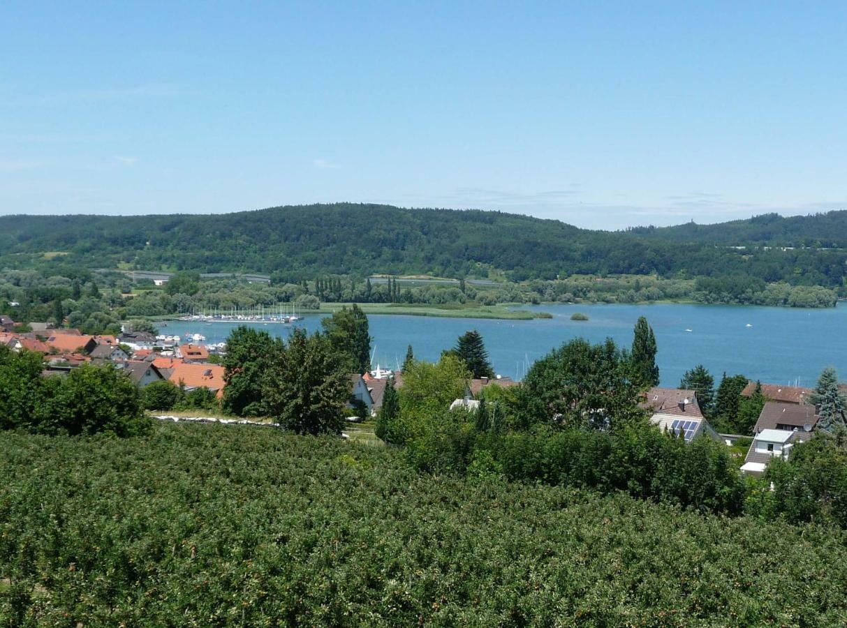 Haus Bodenseeblick Bodman-Ludwigshafen Bagian luar foto